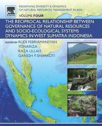 bokomslag Redefining Diversity and Dynamics of Natural Resources Management in Asia, Volume 4