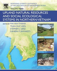 bokomslag Redefining Diversity and Dynamics of Natural Resources Management in Asia, Volume 2