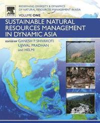 bokomslag Redefining Diversity and Dynamics of Natural Resources Management in Asia, Volume 1