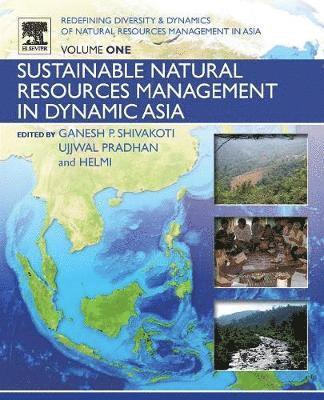 bokomslag Redefining Diversity and Dynamics of Natural Resources Management in Asia, Volume 1