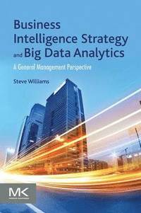 bokomslag Business Intelligence Strategy and Big Data Analytics