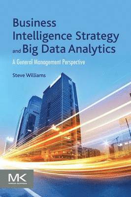 bokomslag Business Intelligence Strategy and Big Data Analytics