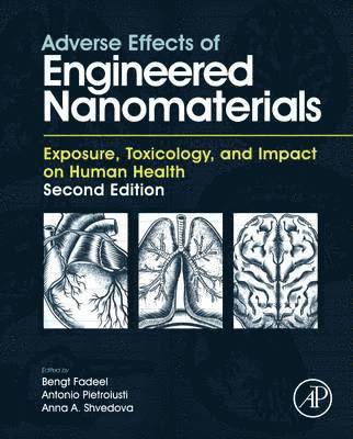 bokomslag Adverse Effects of Engineered Nanomaterials