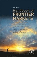 bokomslag Handbook of Frontier Markets