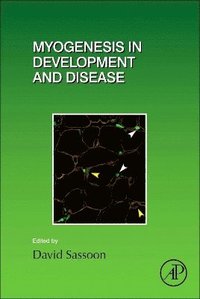 bokomslag Myogenesis in Development and Disease