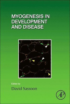 Myogenesis in Development and Disease