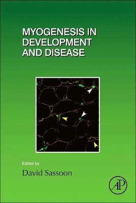 Myogenesis in Development and Disease 1