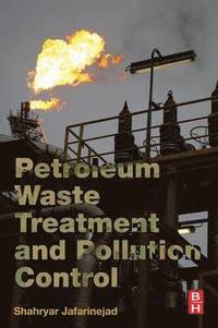 bokomslag Petroleum Waste Treatment and Pollution Control