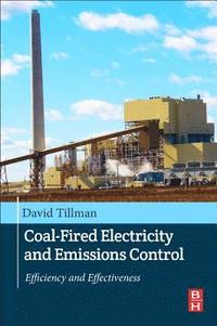 bokomslag Coal-Fired Electricity and Emissions Control