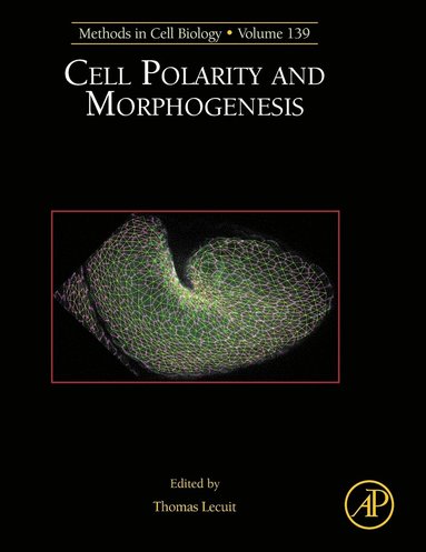 bokomslag Cell Polarity and Morphogenesis
