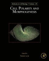 Cell Polarity and Morphogenesis, Inbunden