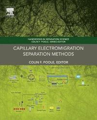 bokomslag Capillary Electromigration Separation Methods