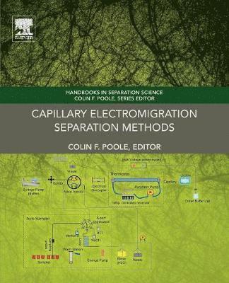 Capillary Electromigration Separation Methods 1