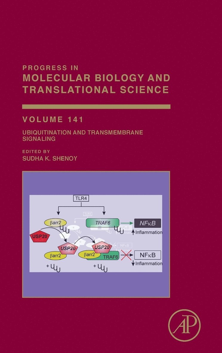 Ubiquitination and Transmembrane Signaling 1