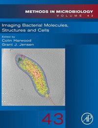 bokomslag Imaging Bacterial Molecules, Structures and Cells