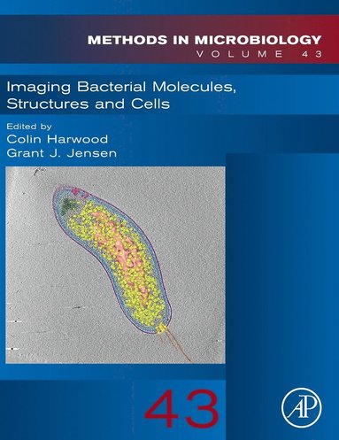 bokomslag Imaging Bacterial Molecules, Structures and Cells