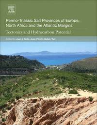 bokomslag Permo-Triassic Salt Provinces of Europe, North Africa and the Atlantic Margins