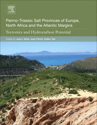 bokomslag Permo-Triassic Salt Provinces of Europe, North Africa and the Atlantic Margins