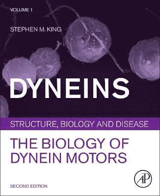 Dyneins 1