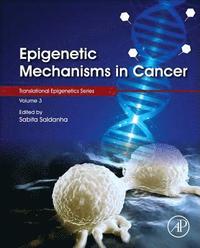 bokomslag Epigenetic Mechanisms in Cancer