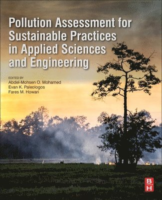 Pollution Assessment for Sustainable Practices in Applied Sciences and Engineering 1