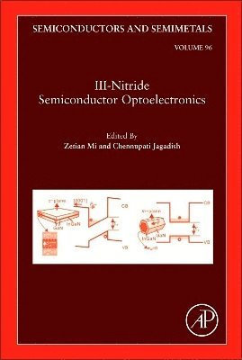 bokomslag III-Nitride Semiconductor Optoelectronics