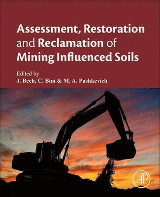 bokomslag Assessment, Restoration and Reclamation of Mining Influenced Soils