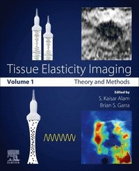 bokomslag Tissue Elasticity Imaging