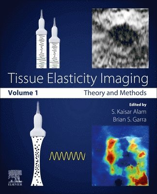 Tissue Elasticity Imaging 1