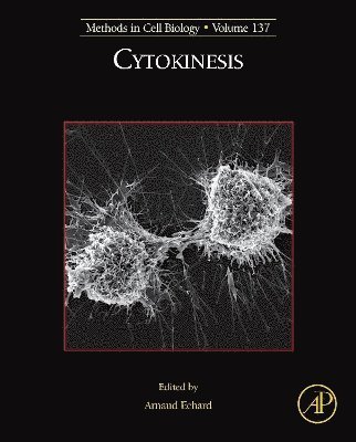 Cytokinesis 1