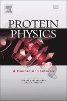 bokomslag Protein Physics