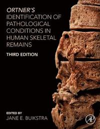 bokomslag Ortner's Identification of Pathological Conditions in Human Skeletal Remains