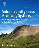 bokomslag Volcanic and Igneous Plumbing Systems