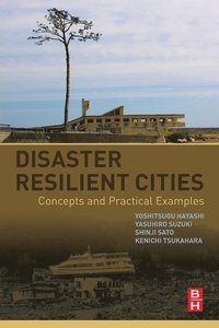 bokomslag Disaster Resilient Cities