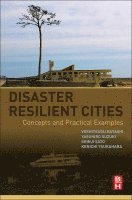 Yoshitsugu Hayashi, Yasuhiro Suzuki, Shinji Sato, Kenichi Tsukahara - Disaster Resilient Cities, Häftad