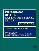 Hamid M. Said - Physiology of the Gastrointestinal Tract, Inbunden