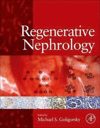 bokomslag Regenerative Nephrology