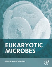 bokomslag Eukaryotic Microbes