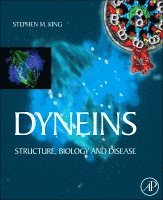 Dyneins 1