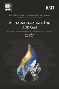 bokomslag Sustainable Shale Oil and Gas