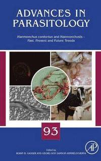 bokomslag Haemonchus Contortus and Haemonchosis - Past, Present and Future Trends