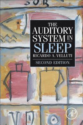 Ricardo Velluti - The Auditory System in Sleep, Häftad