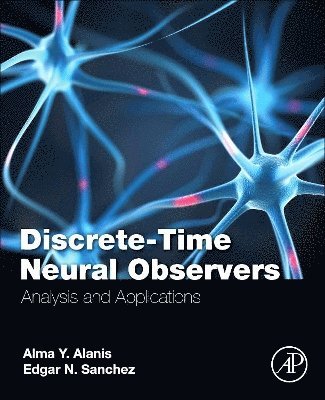 bokomslag Discrete-Time Neural Observers