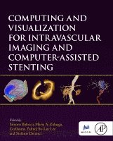 Simone Balocco, Maria A. Zuluaga, Guillaume Zahnd, Su-Lin Lee, Stefanie Demirci - Computing and Visualization for Intravascular Imaging and Computer-Assisted Stenting, Inbunden