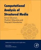 Simon Gluzman, Vladimir Mityushev, Wojciech Nawalaniec - Computational Analysis of Structured Media, Häftad