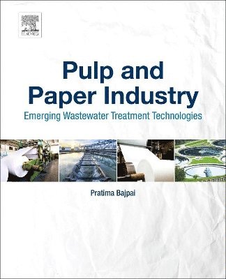 bokomslag Pulp and Paper Industry