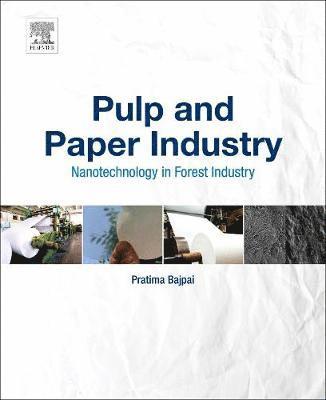 bokomslag Pulp and Paper Industry