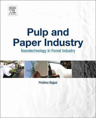 bokomslag Pulp and Paper Industry