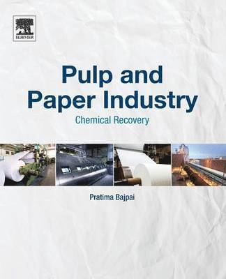 bokomslag Pulp and Paper Industry