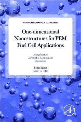 bokomslag One-dimensional Nanostructures for PEM Fuel Cell Applications